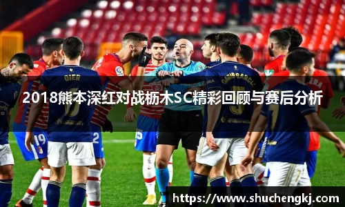 2018熊本深红对战枥木SC精彩回顾与赛后分析